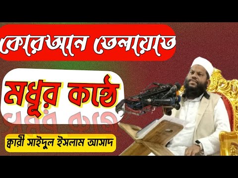 মধুর কন্ঠে কোরআন তেলায়াত। ক্বারী সাইদুল ইসলাম আসাদ।