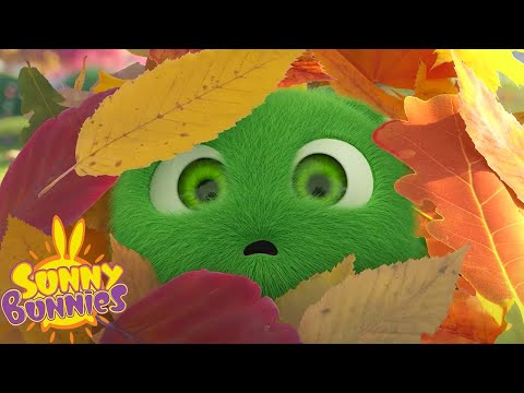 SUNNY BUNNIES - HOPPER'S DRONE | SEASON 7 HITS | Cartoons for Kids