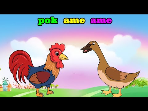 Bebek Nyosor Dan Animasi Ayam | Pok Ame Ame | Lagu Anak Anak