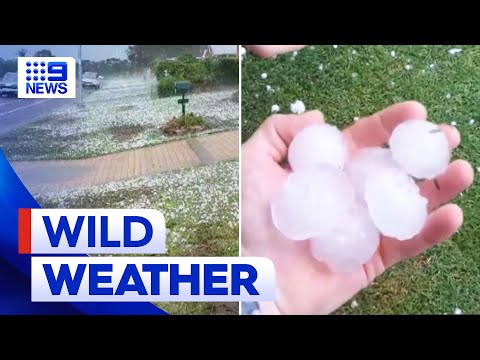 Severe storm warning issued for Sydney with threat of hail | 9 News Australia