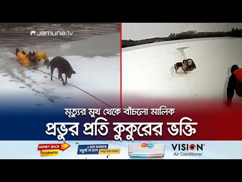 কুকুরের বুদ্ধিমত্তায় বেঁচে গেলো মালিক | Rescuer Dog | US | Jamuna TV