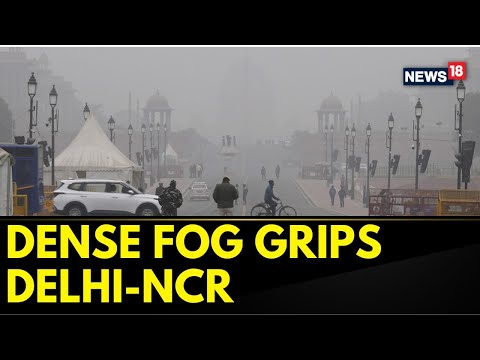 Delhi Wakes Up to Coldest Morning of Season at 3.6 Degrees, Red Alert Issued Amid Zero Visibility