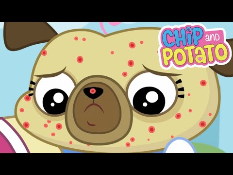 Chip and Potato | Puggy Butterfly // Itchy Chip | Cartoons For Kids