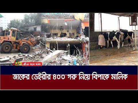 জাকের ডেইরীর ৪০০ গরু নিয়ে বিপাকে মালিক। Zaker Dairy Farm | ATN Bangla News