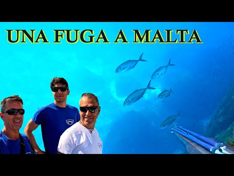 una toccata e fuga a Malta e Gozo