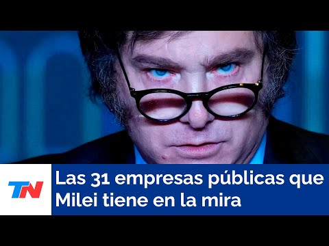 Las 31 empresas p&uacute;blicas que Milei tiene en la mira recibieron giros por U$S5000 millones en 2023