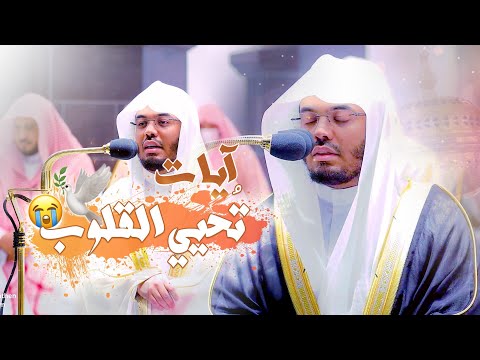 ساعة إبداعية تُحيي القلوب للغريد الآسر د. ياسر الدوسري