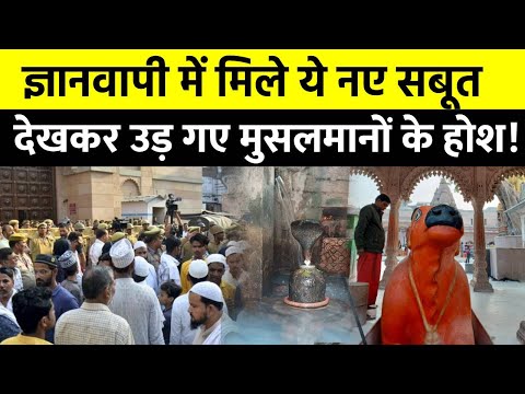 Gyanvapi Survey: ज्ञानवापी में ASI का सर्वे जारी, कौन पड़ेगा किस पर भारी? | Gyanvapi News