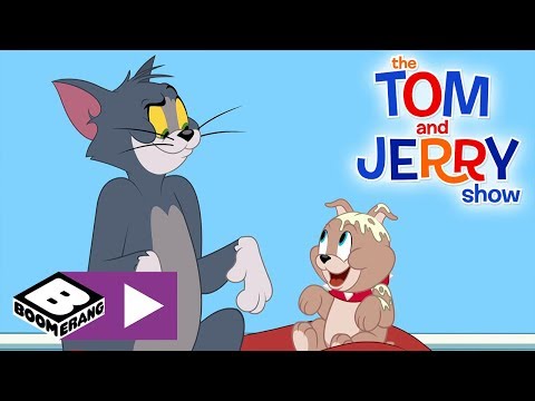 The Tom and Jerry Show | Tom The Dog Carer | Boomerang UK 🇬🇧