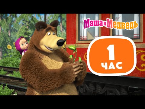 Маша и Медведь 😲🐻 Мишка в шоке 🐻😲 Сборник лучших серий про Машу 🎬 1 час ⏰