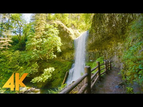 3,5 HRS Summer Forest Walk in Oregon's Park - 4K Nature Sounds of South Falls &amp;amp; Maple Ridge Loop