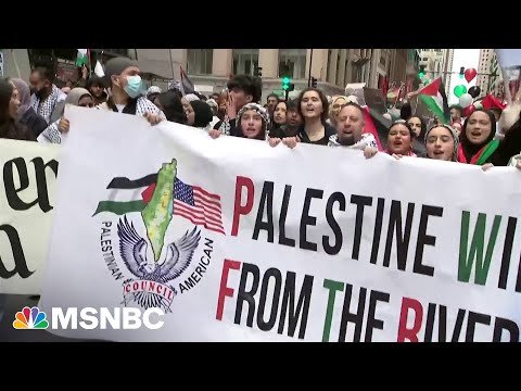 Palestinian-Americans hold rally in Chicago