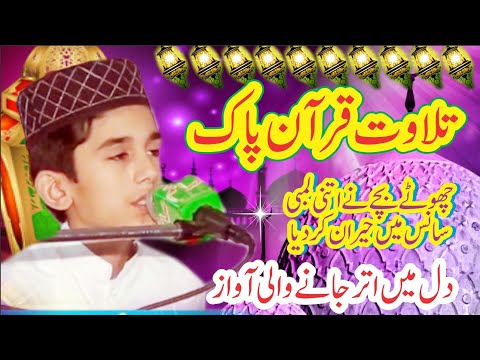 Heart Touching Tilawat | Beautiful Recitation | Surah Duha | Qari Muhammad Shanzaib Sialvi