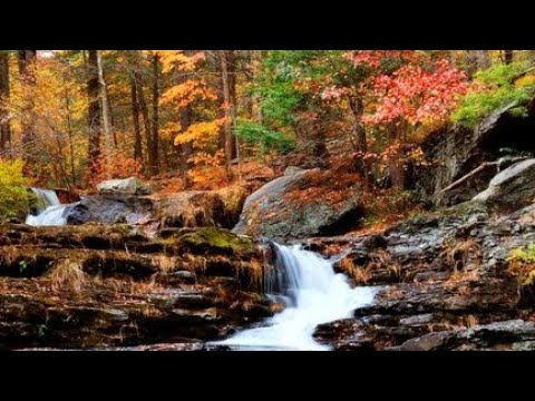 Beautiful Relaxing Waterfall Nature  and Bird Sounds are Natures music for sleeping,relaxing &amp; study