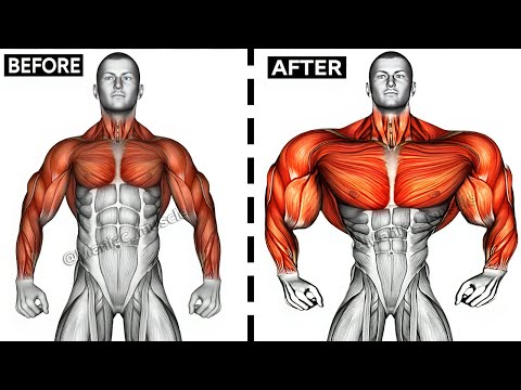 UPPER BODY WORKOUT WITH DUMBBELLS  (Shoulder-forearms-chest-triceps-back-biceps)