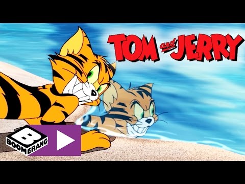 Tom &amp; Jerry | Tigerjakt | Boomerang Norge