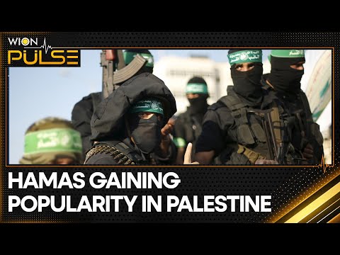 Israel-Hamas war: Israel's operation in Gaza helping Hamas gain popularity | WION Pulse