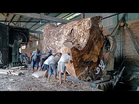 The sultan's luxury wood worth 700 million! The tamarind wood was sawn by the sawmill at the villa