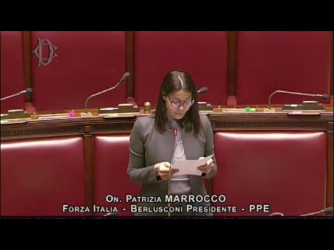 Piano Mattei, Marrocco (FI): &quot;Riflette la visione di Berlusconi&quot;