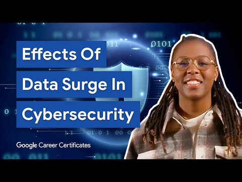 Cybersecurity Assets, Network Threats &amp; Vulnerabilities | Google Cybersecurity Certificate