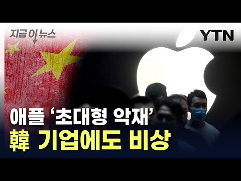 &quot;중국산만 써라&quot;...악재 터진 애플 [지금이뉴스] / YTN