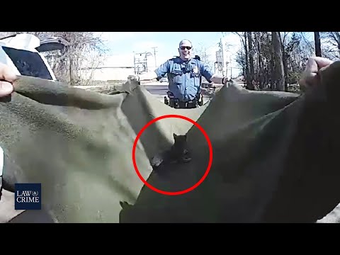 Top Moments Police and Firefighters Saved Animal's Lives