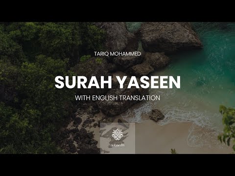 Surah Yaseen | Qari Tareq Mohammed | سورة يس | القارئ طارق محمد