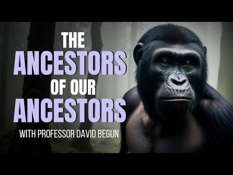 The Ancestors of Our Ancestors ~ with PROFESSOR DAVID BEGUN