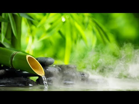 Relaxing Music Relieves Stress, Anxiety and Depression 🌿 Heals the Mind, Soul