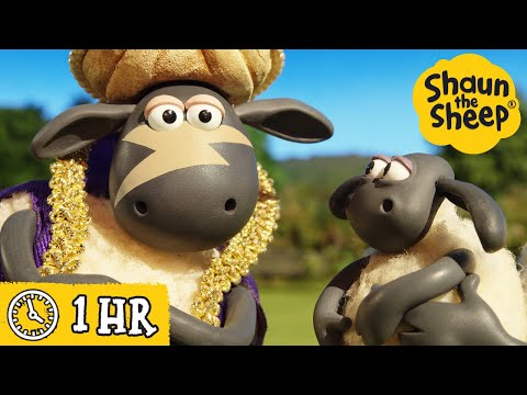 Shaun the Sheep 🐑 Timmy's GIANT Pizza Wish &amp; MORE 🍕 Full Episodes Compilation