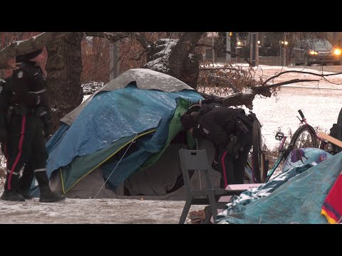 Edmonton mayor expected to declare homelessness emergency