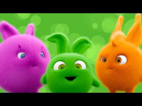 Sunny Bunnies | Best Compilation - FULL SEASON 1 | SUNNY BUNNIES COMPILATION | Videos For Kids