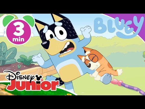 Bluey | Bluey's Zoo 🐒 | Disney Kids