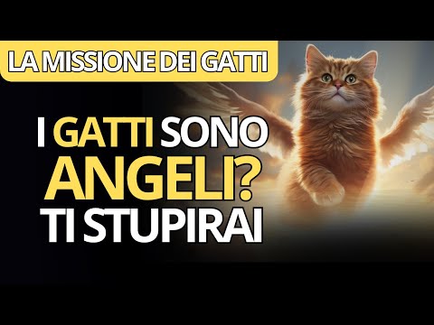 😺I GATTI SONO ANGELI MANDATI PER TE 🌟 | La Missione SPIRITUALE Dei GATTI