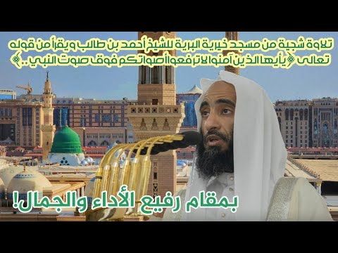 بمقام رفيع الأداء والجمال! الشيخ أحمدبن طالب يقرأ ﴿يأيهاالذين آمنوا لاترفعواأصواتكم فوق صوت النبي﴾