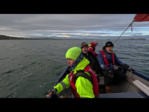 A Sociable New Year's Eve Sail