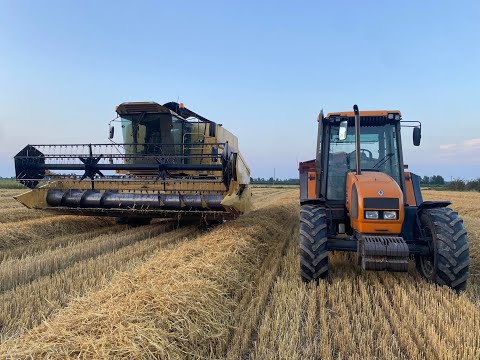 żniwa jęczmienne 2023 New Holland tx34