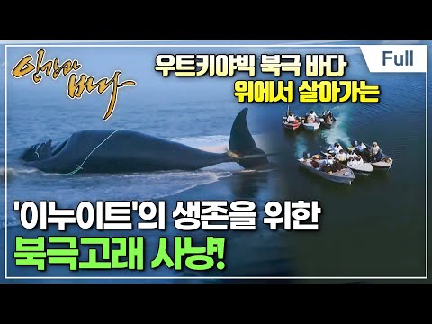 [Full] 인간과 바다 - 생존을 위한 바다 사냥에 나서다,  알래스카 이누이트