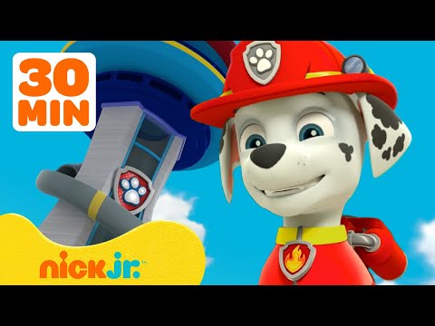 PAW Patrol Marshall's BEST Lookout Tower Rescues! w/ Chase &amp;amp; Skye | 30 Minute Compilation | Nick Jr.