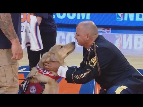 Army Vet Drops To His Knees In Shock When He's Surprised with Service Dog