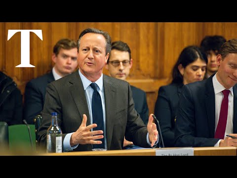 We need a sustainable ceasefire in Israel-Hamas conflict, says Cameron