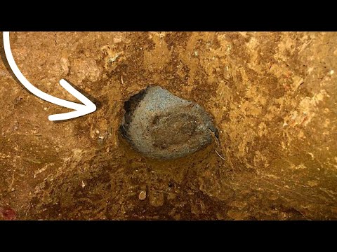 What We Discovered Buried Shocked The Whole World❌ [ Strange Treasure Hunt By Metal Detector ]