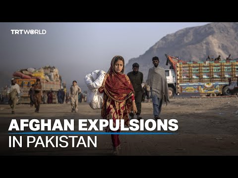 Pakistan's migrant crackdown affects 1.8M Afghan refugees