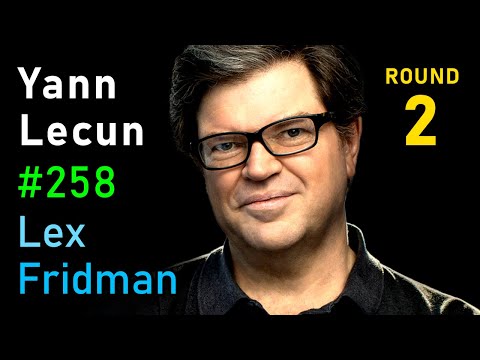 Yann LeCun: Dark Matter of Intelligence and Self-Supervised Learning | Lex Fridman Podcast 