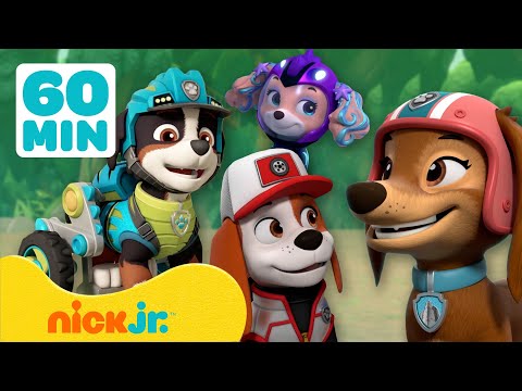 PAW Patrol | Trefft die NEUEN PAW Patrol-Mitglieder! | Nick Jr. Deutschland