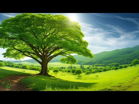 Calming music for nerves 🌿 healing music for the heart and blood vessels, relaxation, music for soul