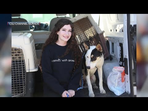 CSU Channel Islands English student uses her grant-writing skills to help rescue dogs