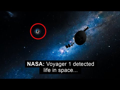 NASA Officials: Voyager 1 Has Made &ldquo;Terrifying&rdquo; Discovery after 46 Years In Space!