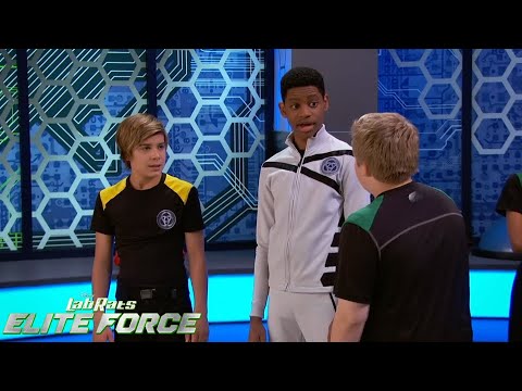 5 Nostalgic Moments | Lab Rats Elite Force | Disney Channel UK