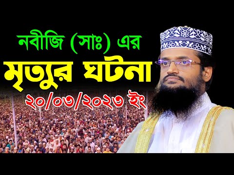 নবীজি (সাঃ) এর মৃত্যুর ঘটনা | আব্দুল্লাহ আল আমীনের ওয়াজ ২০২৩ | Abdullah Al Amin Tafsir Waz 2023